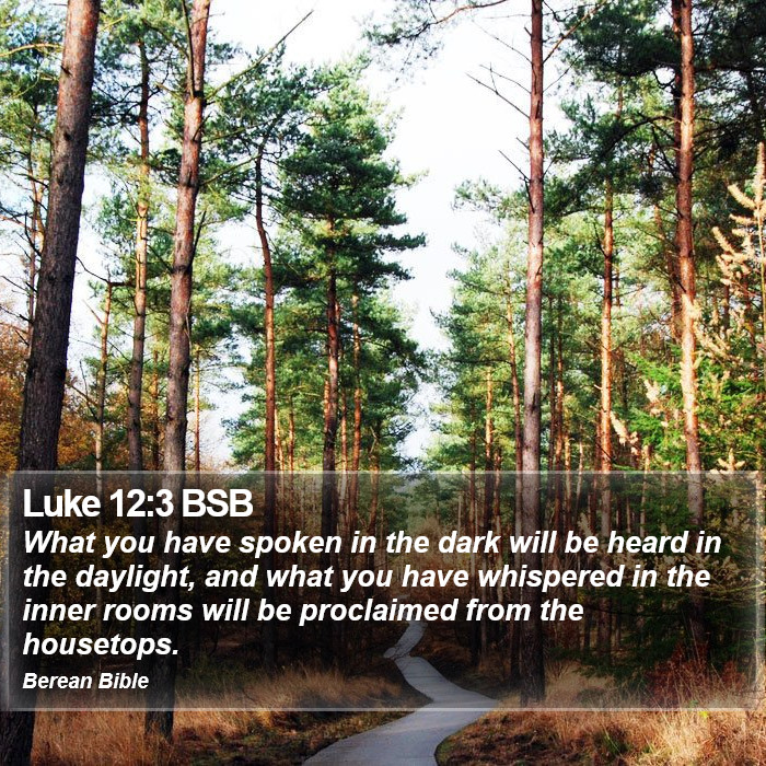 Luke 12:3 BSB Bible Study