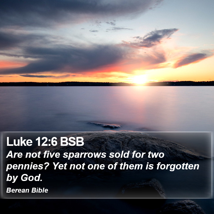 Luke 12:6 BSB Bible Study