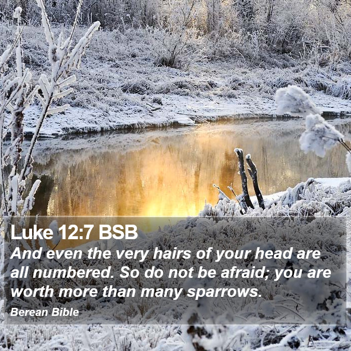 Luke 12:7 BSB Bible Study