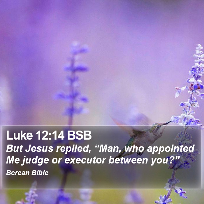 Luke 12:14 BSB Bible Study