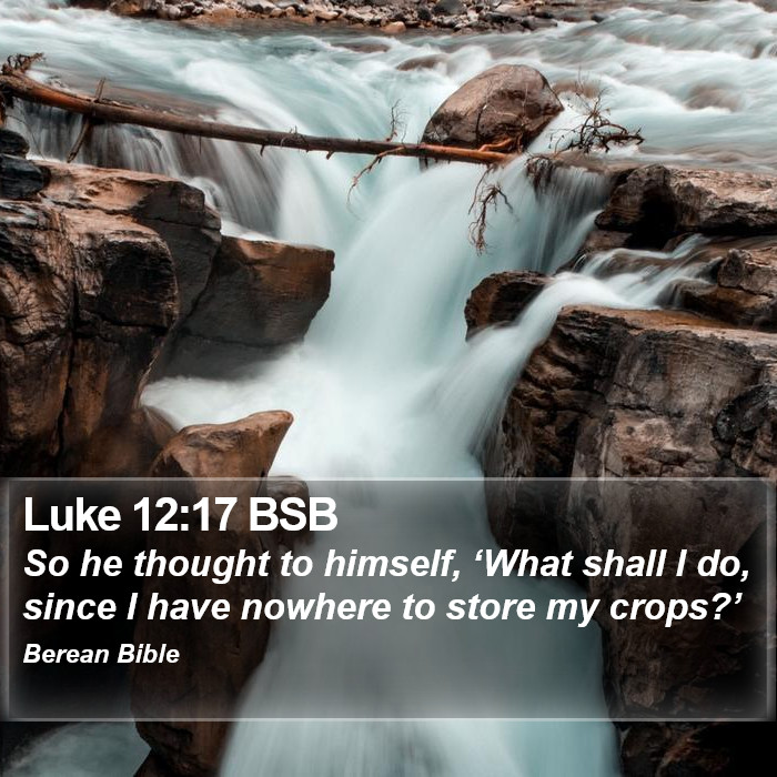 Luke 12:17 BSB Bible Study