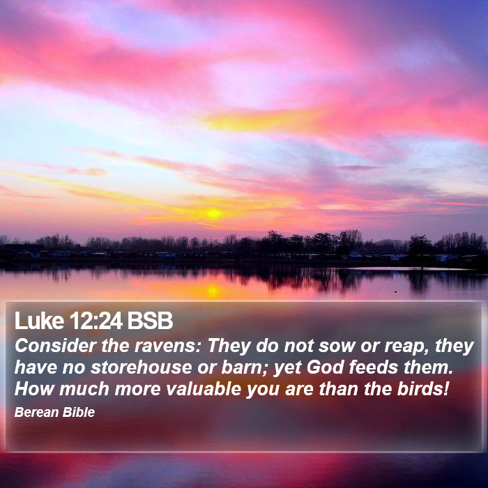 Luke 12:24 BSB Bible Study