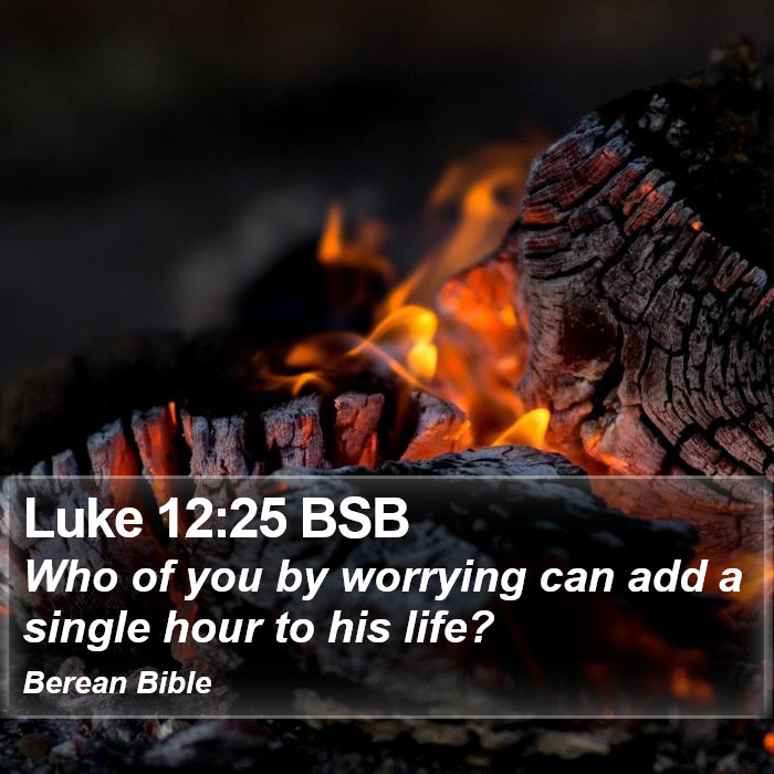 Luke 12:25 BSB Bible Study