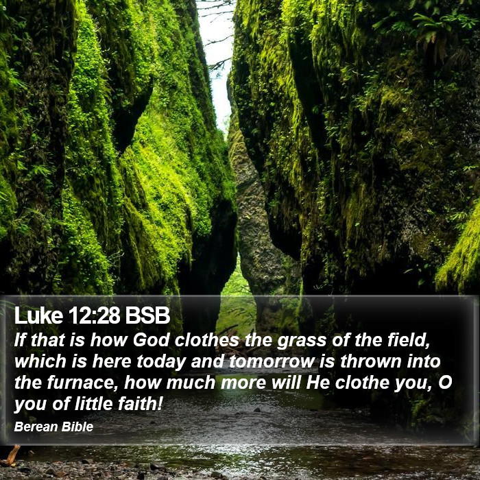 Luke 12:28 BSB Bible Study