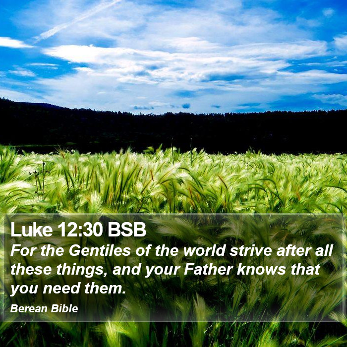 Luke 12:30 BSB Bible Study