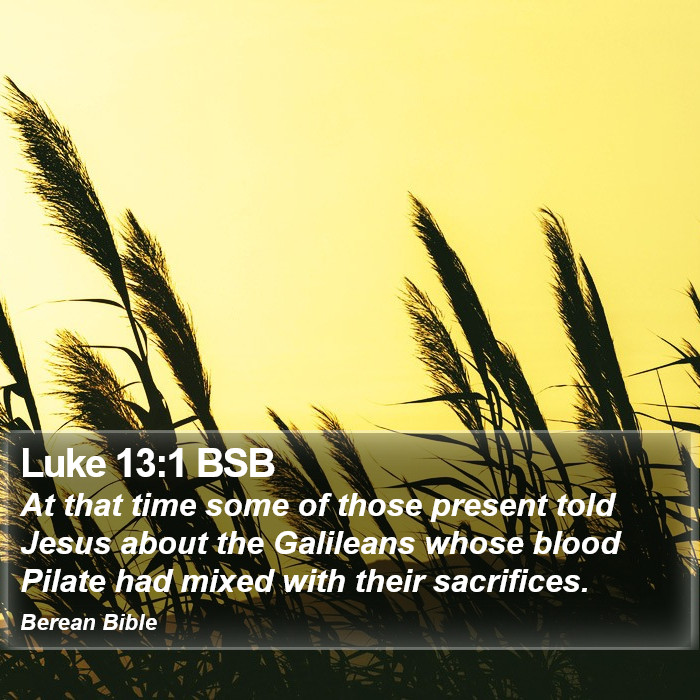 Luke 13:1 BSB Bible Study