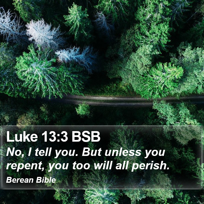 Luke 13:3 BSB Bible Study