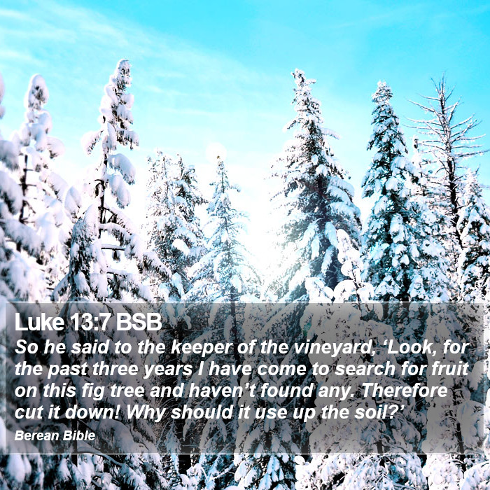 Luke 13:7 BSB Bible Study