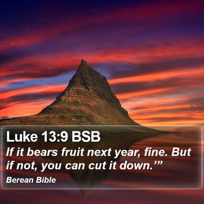 Luke 13:9 BSB Bible Study