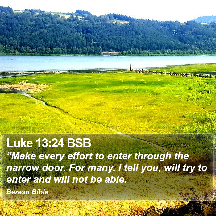 Luke 13:24 BSB Bible Study