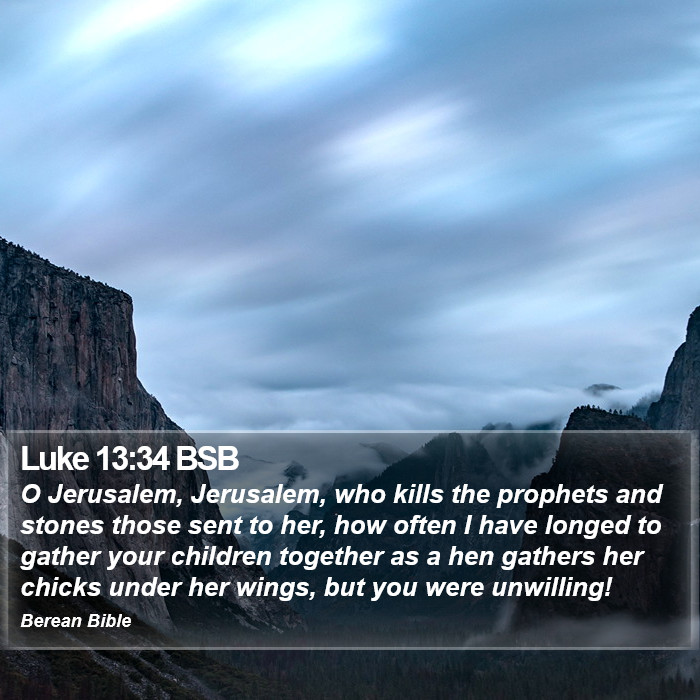 Luke 13:34 BSB Bible Study