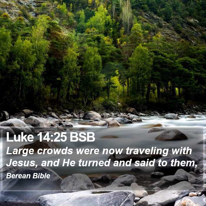 Luke 14:25 BSB Bible Study