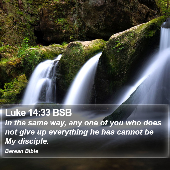 Luke 14:33 BSB Bible Study