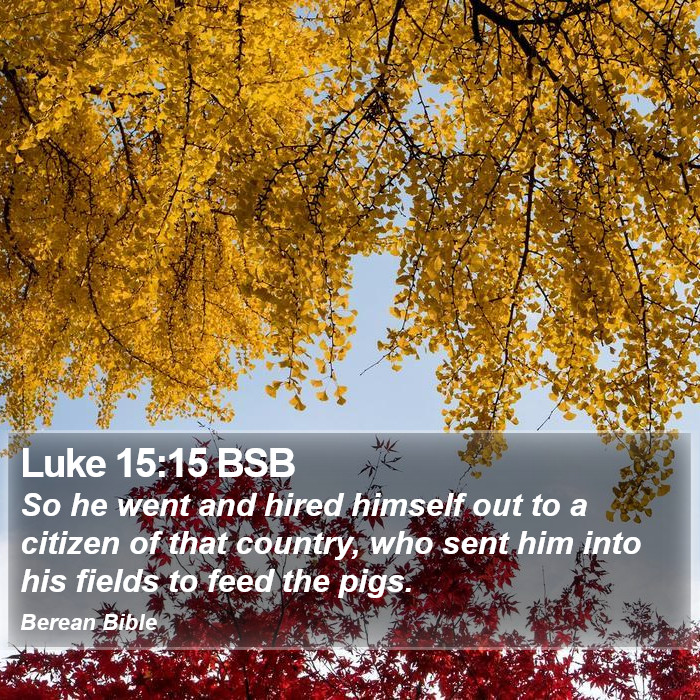 Luke 15:15 BSB Bible Study