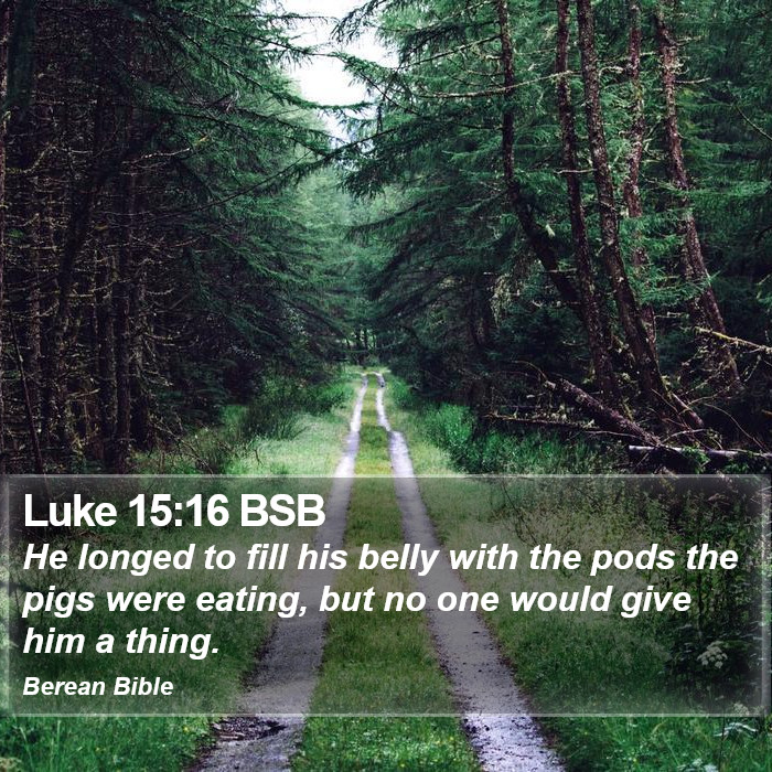 Luke 15:16 BSB Bible Study