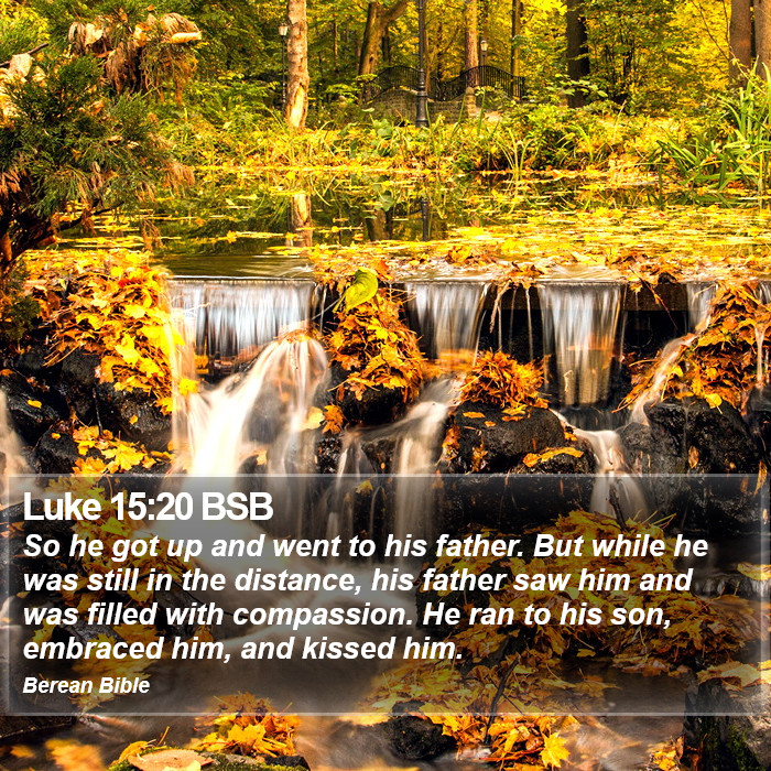 Luke 15:20 BSB Bible Study