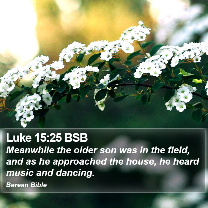 Luke 15:25 BSB Bible Study