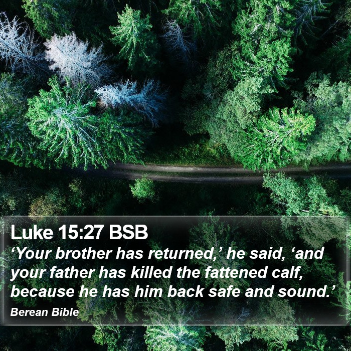 Luke 15:27 BSB Bible Study