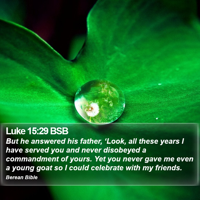 Luke 15:29 BSB Bible Study