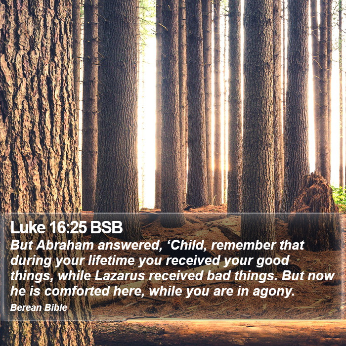 Luke 16:25 BSB Bible Study