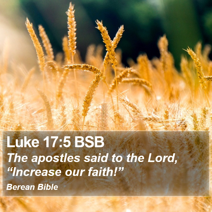 Luke 17:5 BSB Bible Study