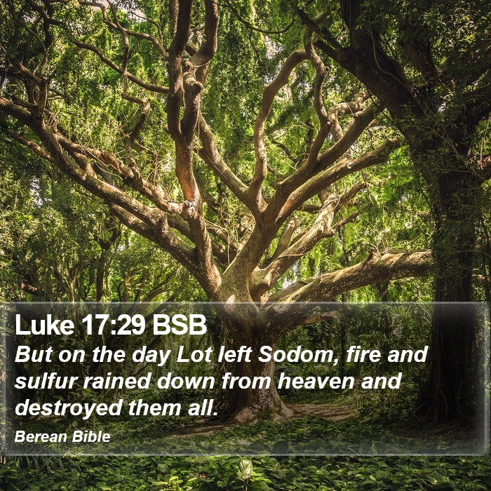 Luke 17:29 BSB Bible Study