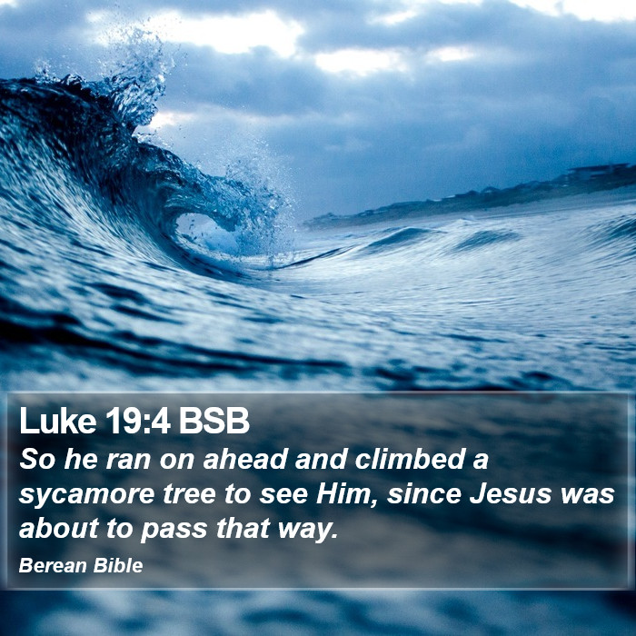 Luke 19:4 BSB Bible Study