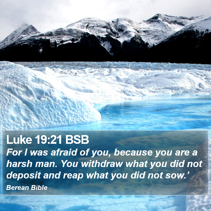 Luke 19:21 BSB Bible Study