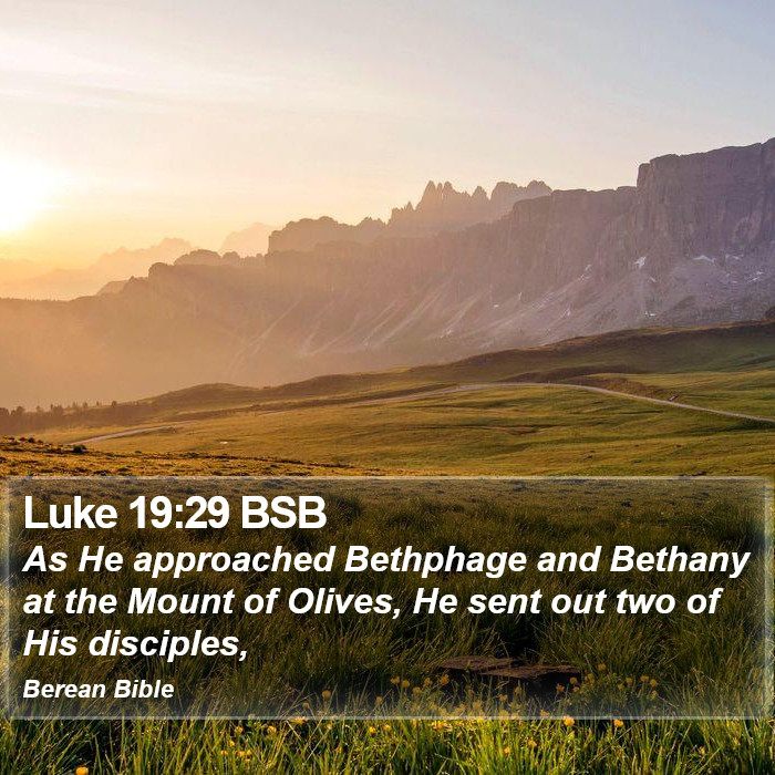 Luke 19:29 BSB Bible Study