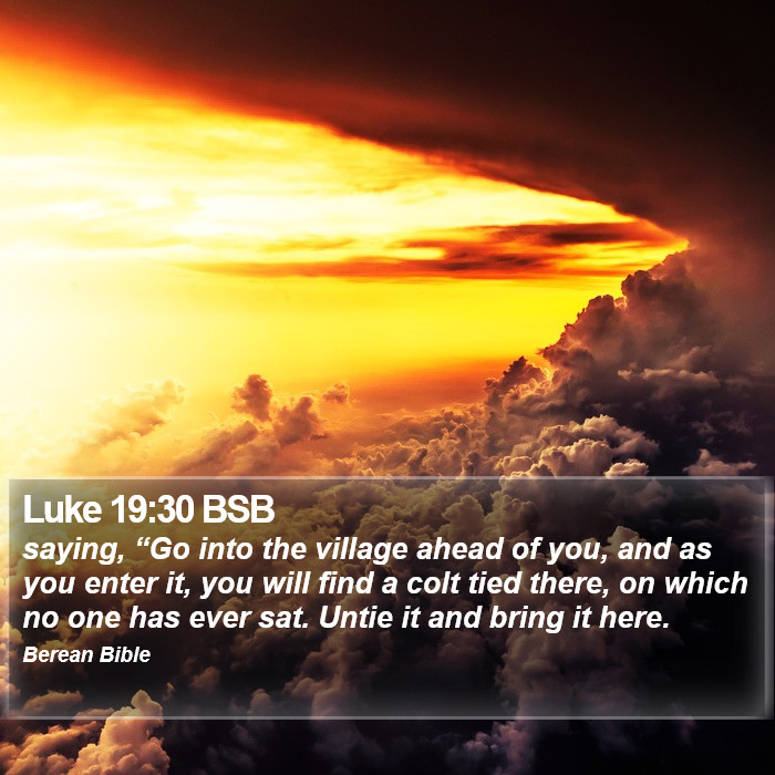 Luke 19:30 BSB Bible Study