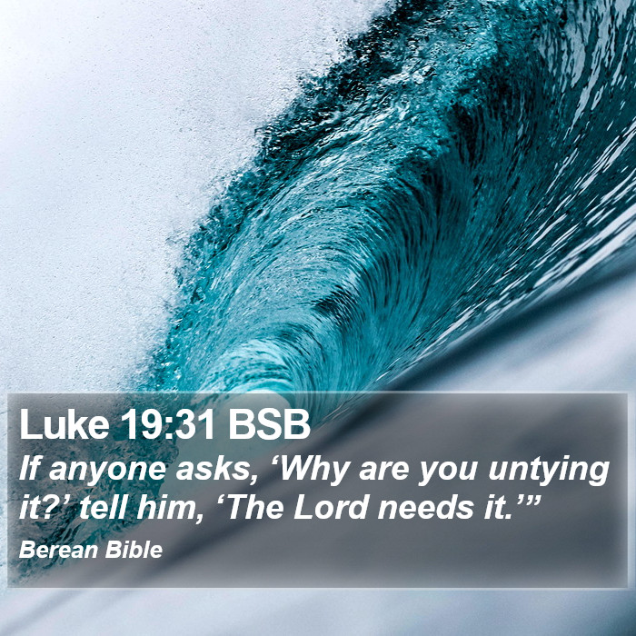 Luke 19:31 BSB Bible Study