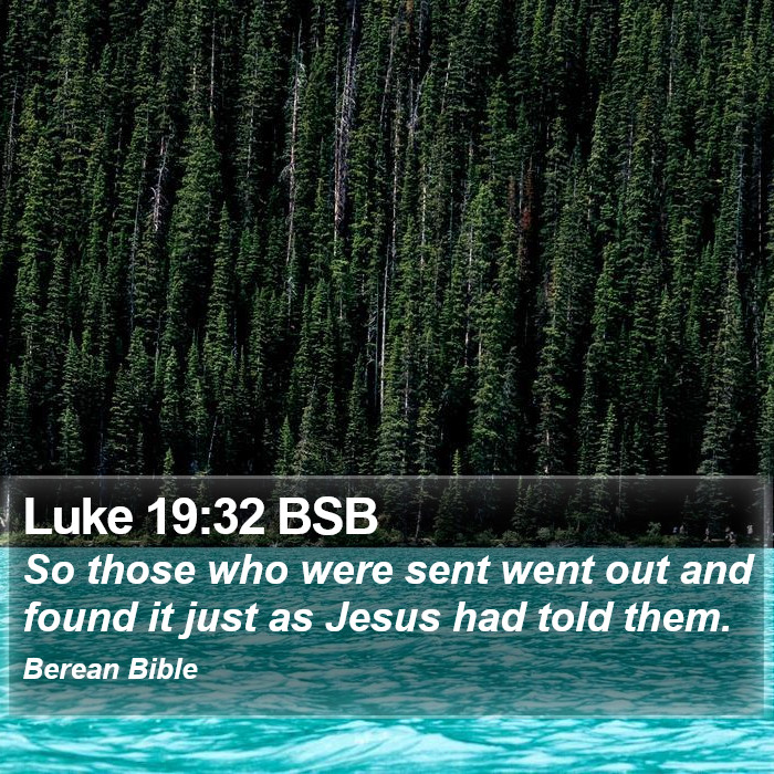 Luke 19:32 BSB Bible Study