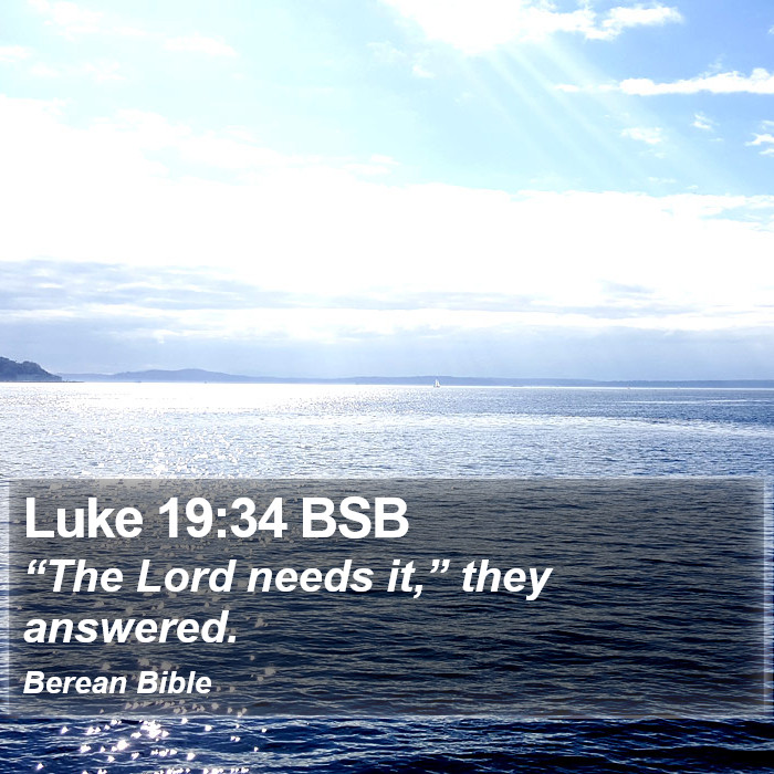 Luke 19:34 BSB Bible Study