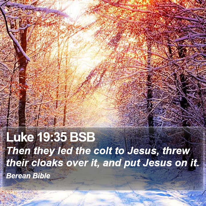 Luke 19:35 BSB Bible Study