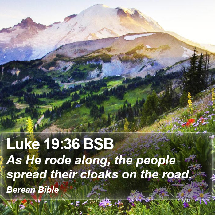 Luke 19:36 BSB Bible Study