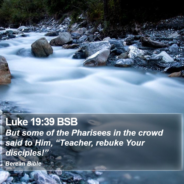 Luke 19:39 BSB Bible Study