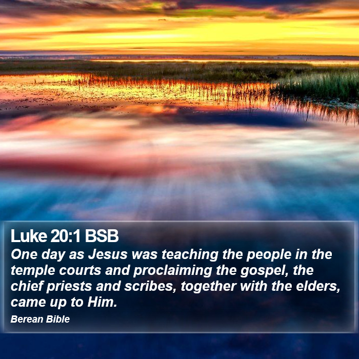 Luke 20:1 BSB Bible Study