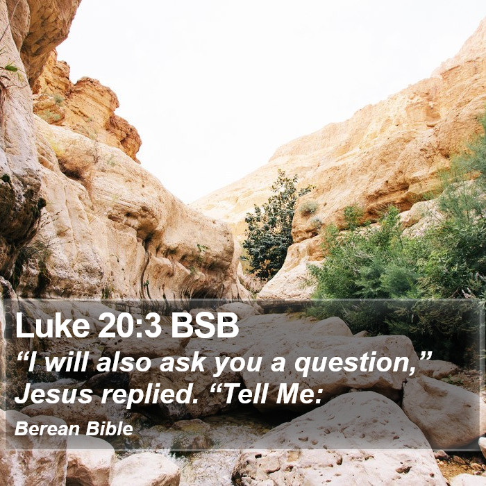 Luke 20:3 BSB Bible Study