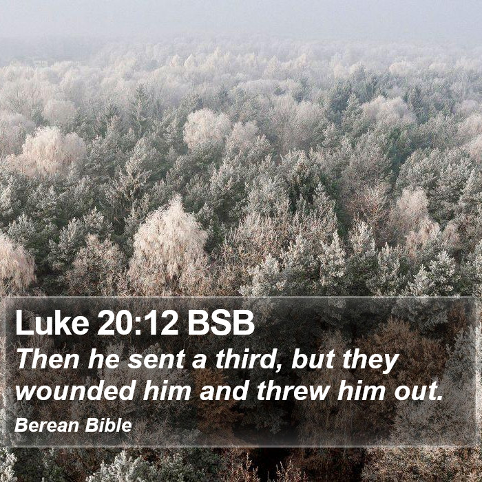 Luke 20:12 BSB Bible Study