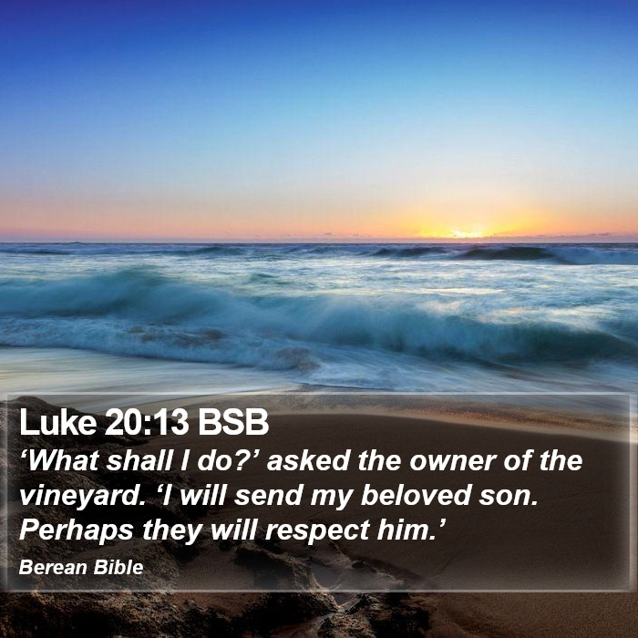 Luke 20:13 BSB Bible Study