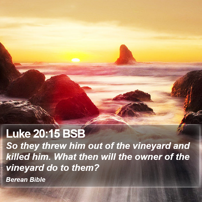 Luke 20:15 BSB Bible Study