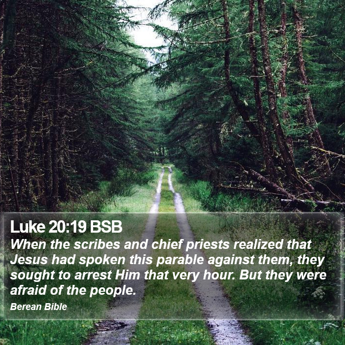 Luke 20:19 BSB Bible Study