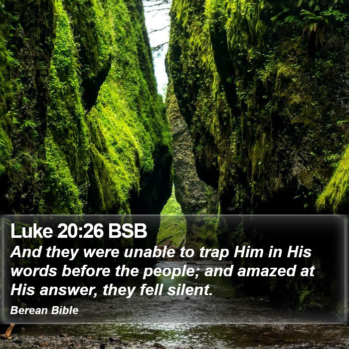 Luke 20:26 BSB Bible Study