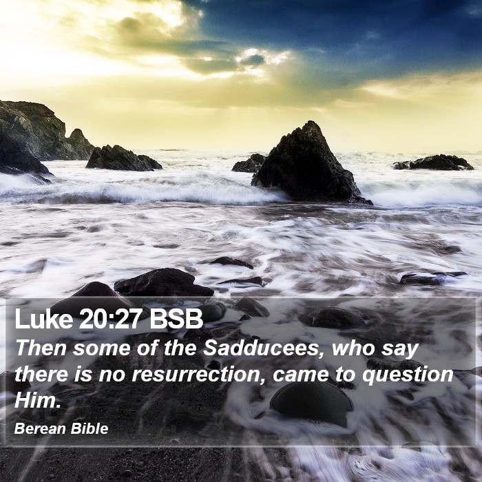 Luke 20:27 BSB Bible Study