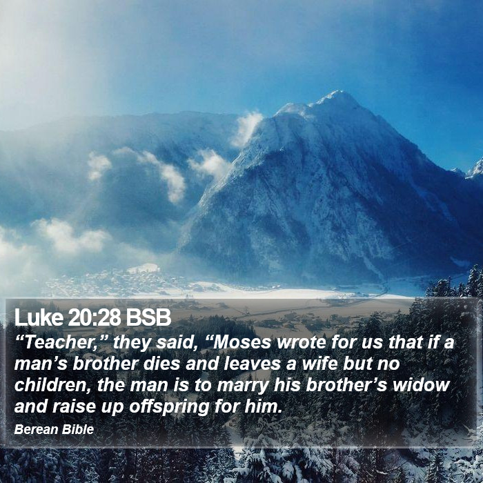 Luke 20:28 BSB Bible Study