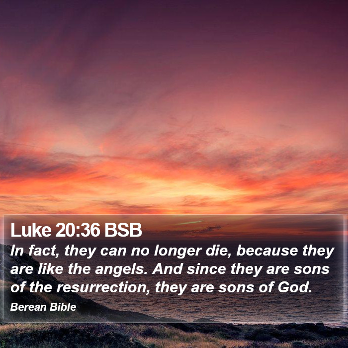 Luke 20:36 BSB Bible Study