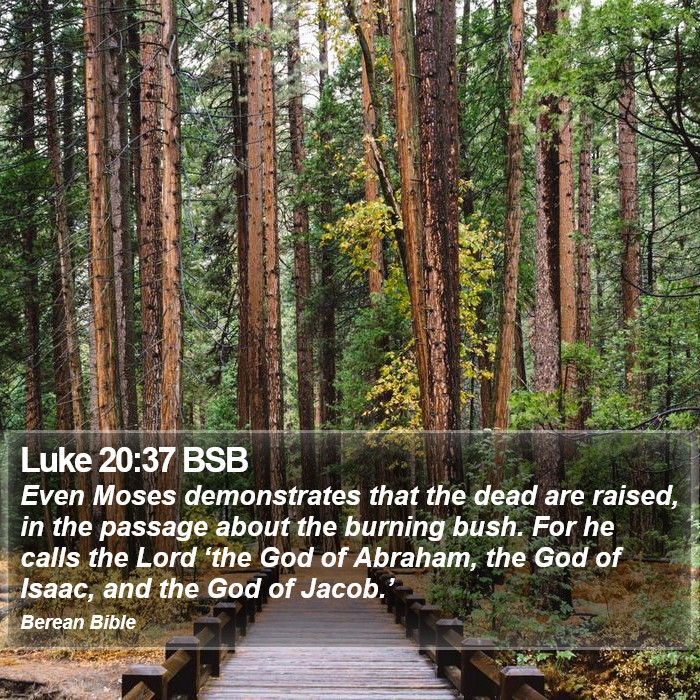 Luke 20:37 BSB Bible Study