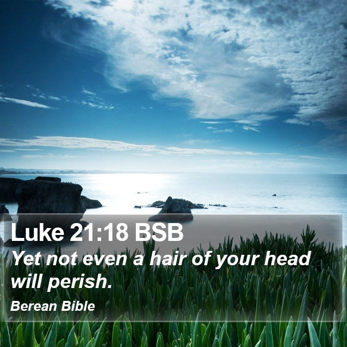 Luke 21:18 BSB Bible Study