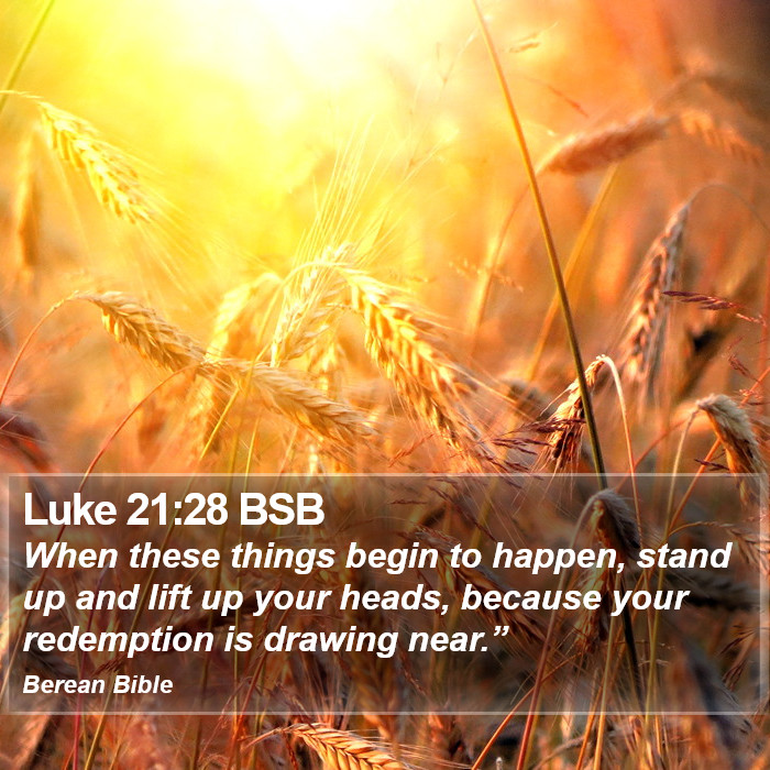 Luke 21:28 BSB Bible Study