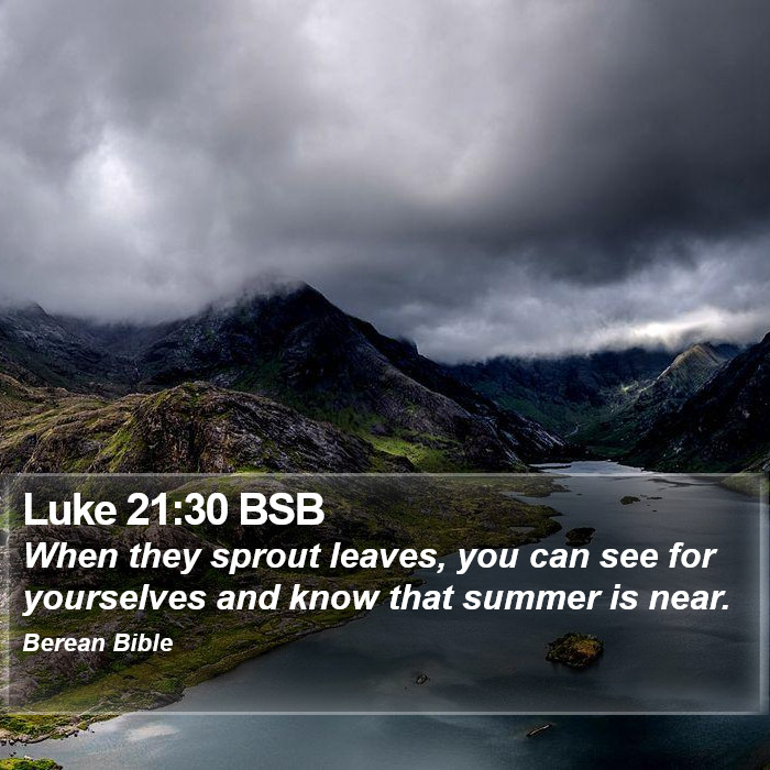 Luke 21:30 BSB Bible Study